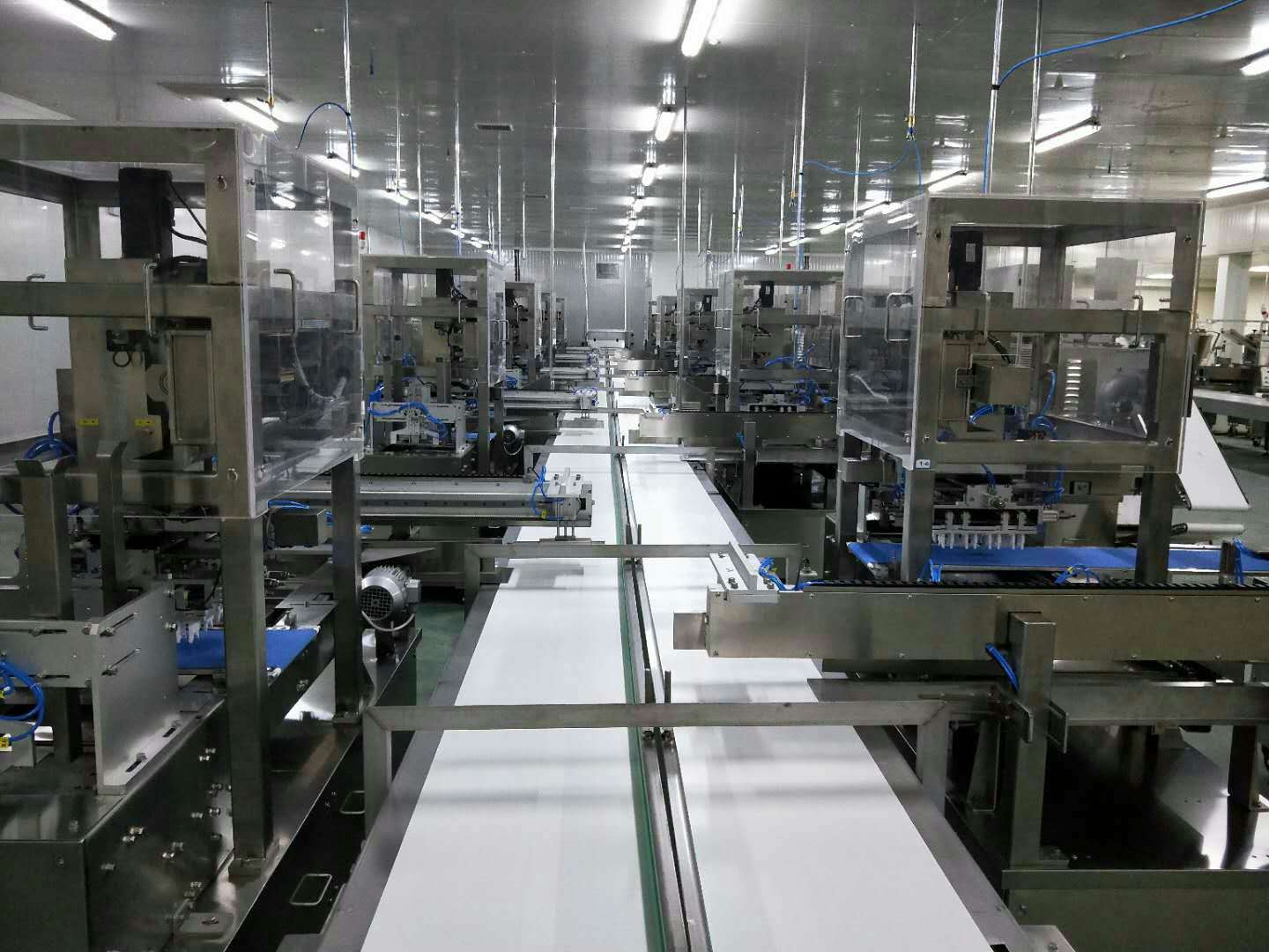 Dumpling Production Line-3 Dumpling Production Line-3